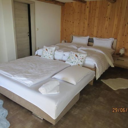 Studio 1111 With Sauna & Hot Tub Dravograd Εξωτερικό φωτογραφία