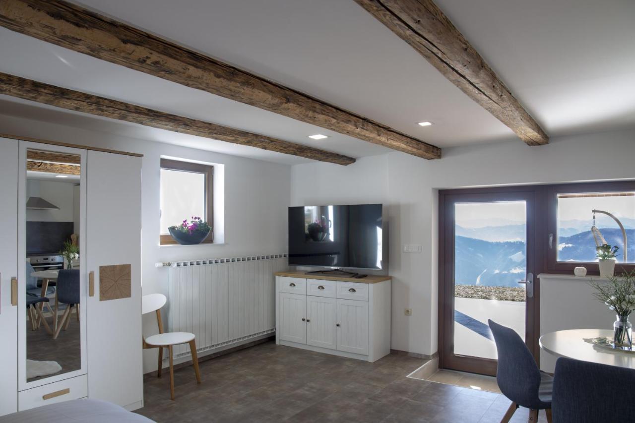 Studio 1111 With Sauna & Hot Tub Dravograd Εξωτερικό φωτογραφία