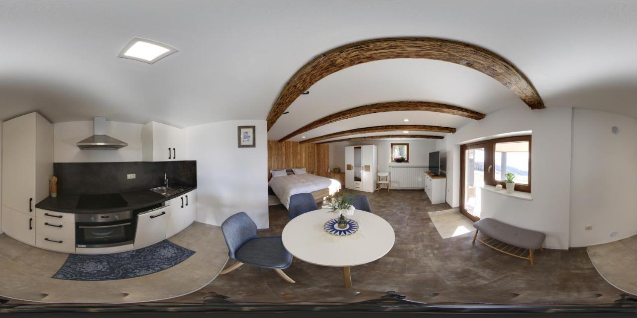 Studio 1111 With Sauna & Hot Tub Dravograd Εξωτερικό φωτογραφία