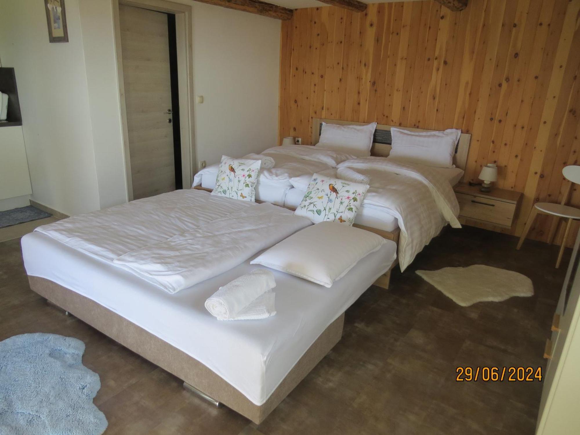 Studio 1111 With Sauna & Hot Tub Dravograd Εξωτερικό φωτογραφία